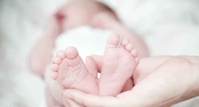 Árvaház örökli a régi kanapét a nagyapjától, leül rá, és az összetörik a súlya alatt - A nap története