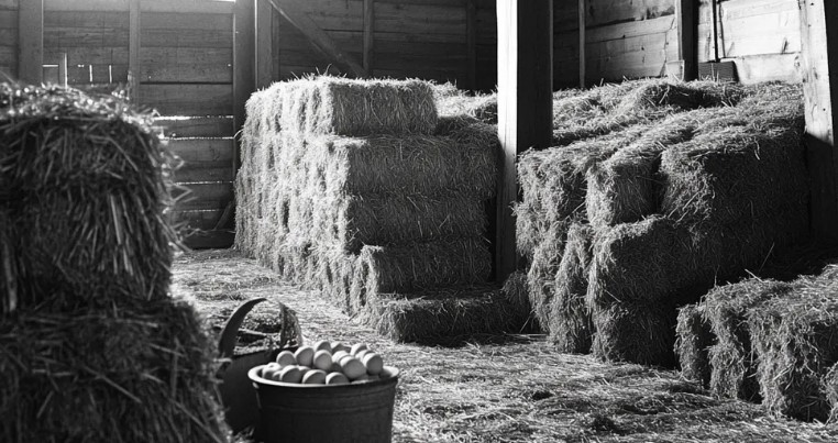 A szomszédom mindent lemásolt, amit csináltam, mígnem felfedeztem a szívszorító okot – A nap története