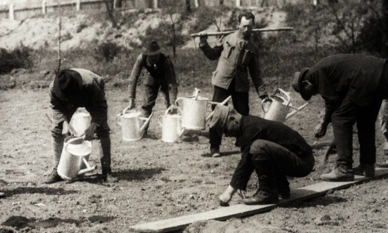Tanácsköztársaság 1919: Forradalom, Propaganda és Örökség...Egy forradalom hajnala