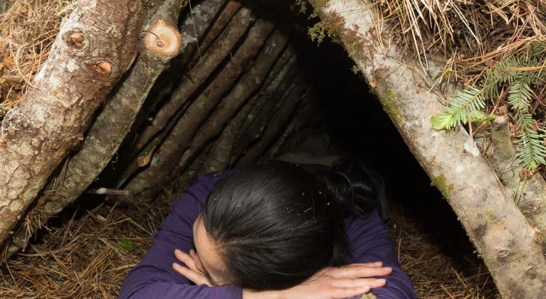 Dühös voltam, hogy a nagyapám csak egy régi méhészetet hagyott rám, amíg be nem néztem a kaptárokba — A nap története