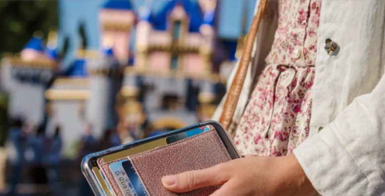 A nagynéném eltűnt a személyimmel és a pénzemmel Disneylandben — a hazafelé tartó vonatúton tökéletes bosszút eszeltem ki.