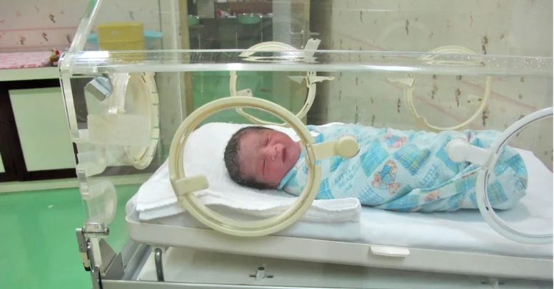 Orvos neveli a hármas ikreket, miután az anya a szülés során meghal, 5 év múlva felbukkan a vér szerinti apa — A nap története