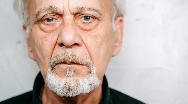 Vettem ételt egy szegény idős férfinak és a kutyájának – Amit másnap reggel az ajtóm előtt láttam, szóhoz sem jutottam