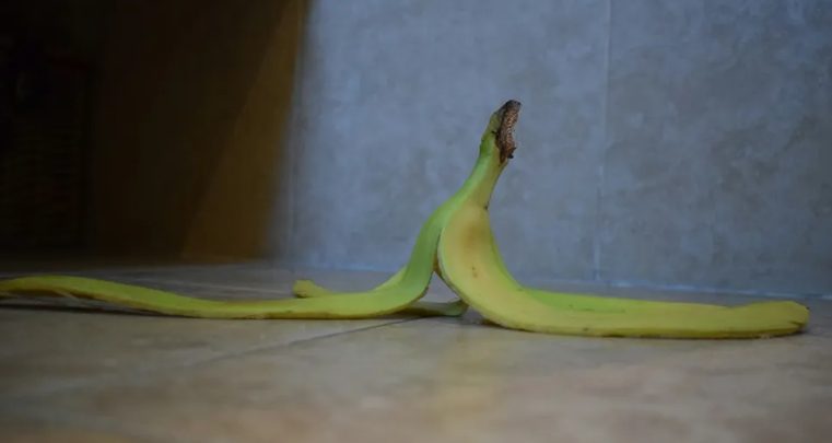A felnőtt mostohalányom mindenhol szemetet hagyott a házamban, és házvezetőnőként kezelt — ezért megtanítottam neki egy leckét.