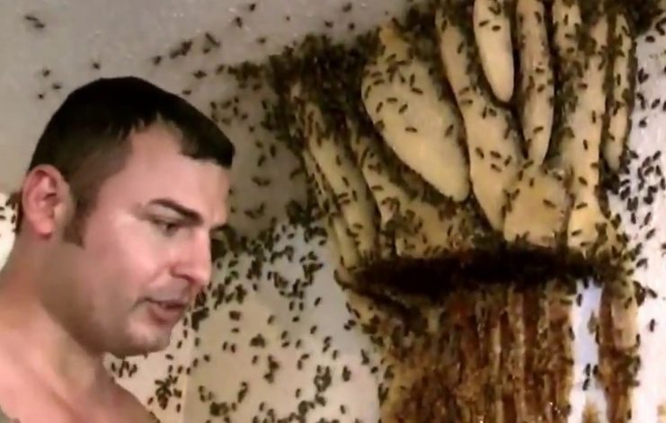 Miután a férjem kórházba került, az 5 éves gyermekem mesélt az „új anyukáról” – amit felfedeztem, szóhoz sem jutottam